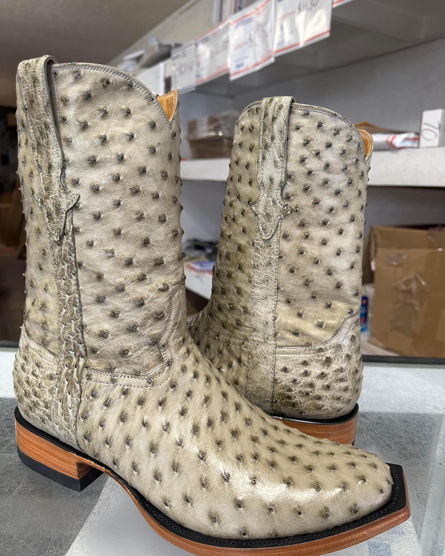 Ostrich Full Quill cut 2